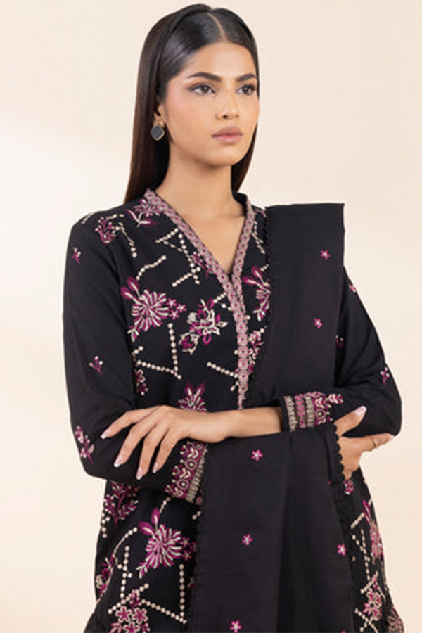 3 Piece - Embroidered Karandi Suit