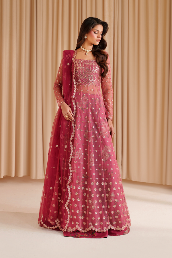 CC-72 Embroidered Net