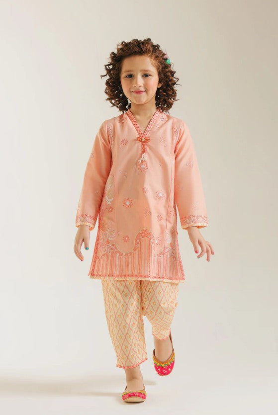 EMBROIDERED SUIT 2 Piece